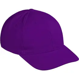 Pro Basic Cap - 6 Panel Purple